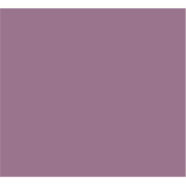 Tru-Color Paint Tru-Color Paint TCP1024 Mountbatten Pink Color TCP1024